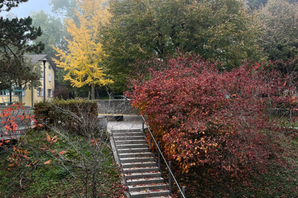 cmp-association-chatelard-04 cmp-association-chatelard-04