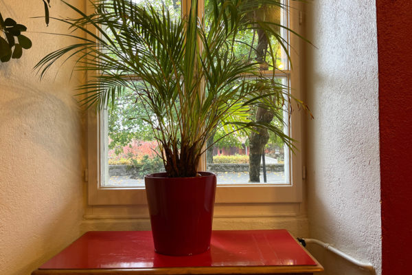 cmp-association-chatelard-30 cmp-association-chatelard-30