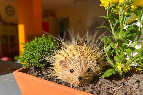 coteau-association-chatelard-09 coteau-association-chatelard-09