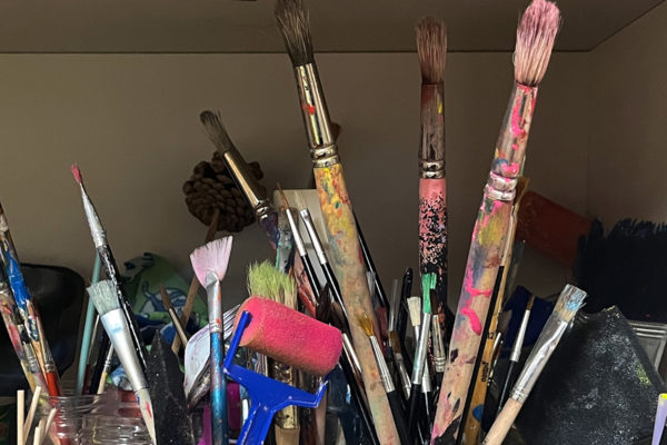 espace-contact-lsne-association-chatelard-10 espace-contact-lsne-association-chatelard-10